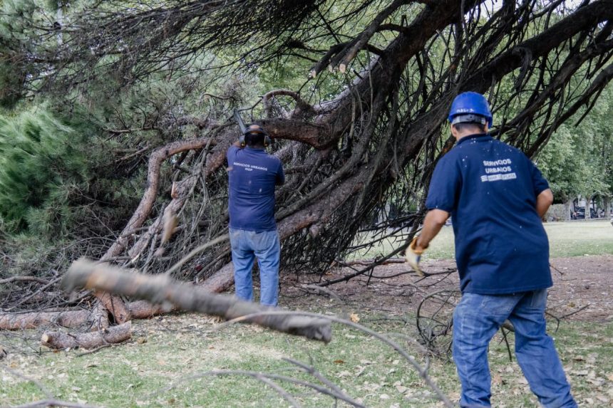 El Municipio realizó trabajos de puesta en valor en el Parque Primavesi