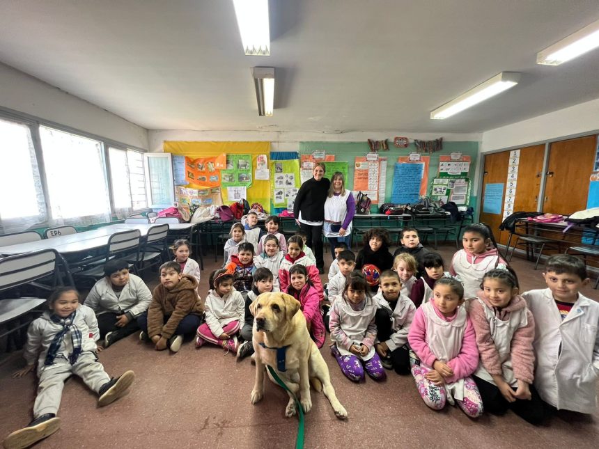 Comienza un nuevo ciclo de capacitación en tenencia responsable de animales domésticos de compañía dirigido a docentes