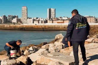 La Municipalidad llevó adelante operativos de limpieza y desratización en zona costera