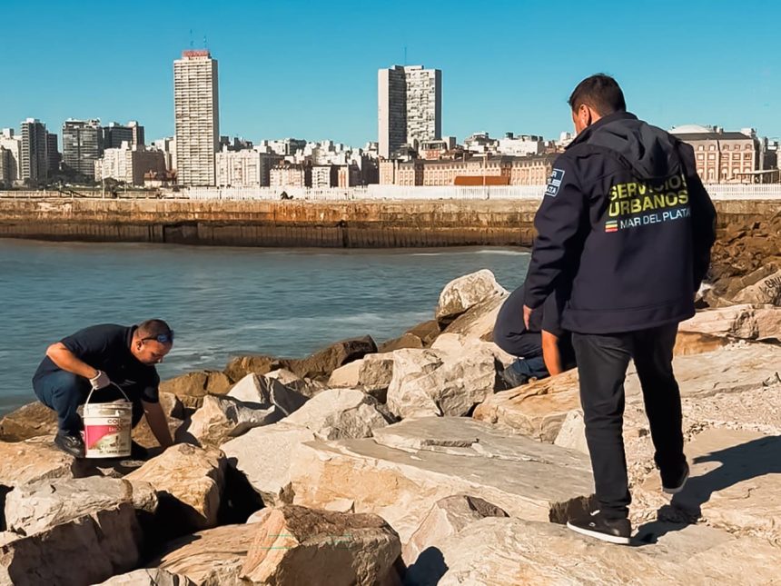 La Municipalidad llevó adelante operativos de limpieza y desratización en zona costera