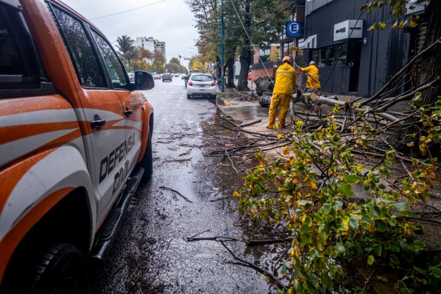 El Municipio continúa con tareas de asistencia y prevención tras las lluvias y vientos registrados en la ciudad