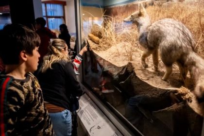El mes de mayo en el Museo Scaglia presentará muestras y actividades especiales