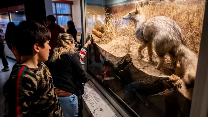 El mes de mayo en el Museo Scaglia presentará muestras y actividades especiales