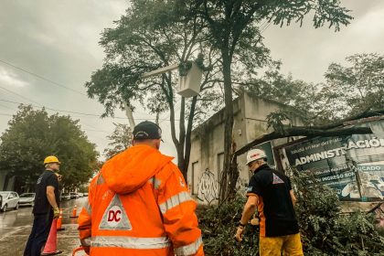 El Municipio informa que no se suspenden las clases este jueves