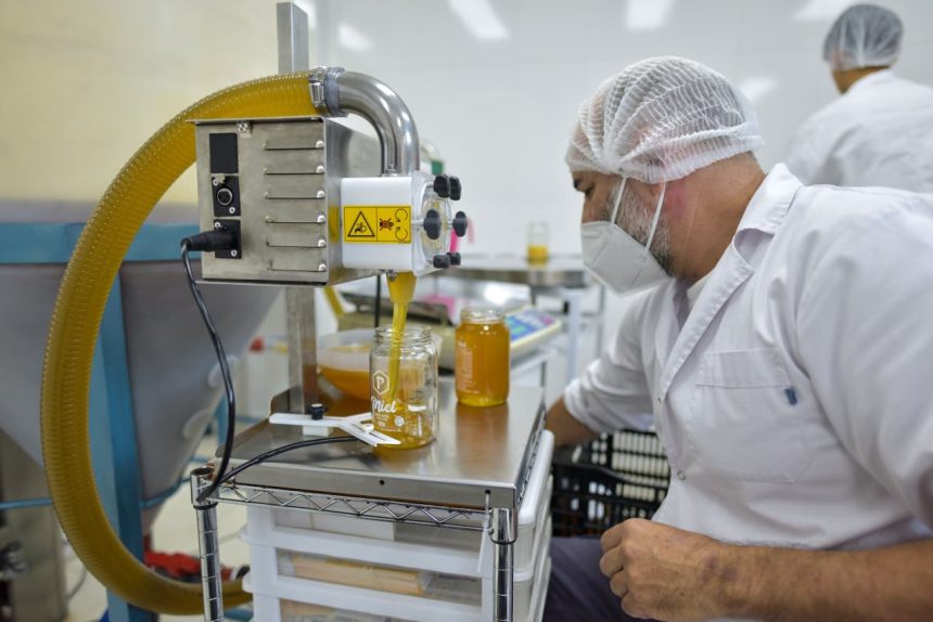 Mar del Plata vuelve a exportar miel fraccionada a Estados Unidos