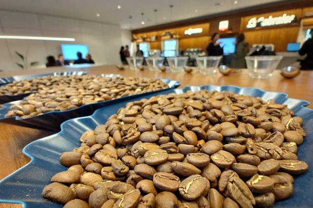 El curso de Barista continúa formando nuevos talentos para el sector