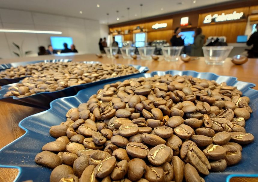 El curso de Barista continúa formando nuevos talentos para el sector