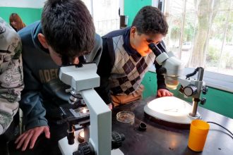 Este viernes el Programa PREVENIR estará en colegio Ortega y Gasset