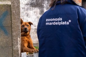 El Municipio retiró dos perros que se encontraban en condiciones inadecuadas de habitabilidad