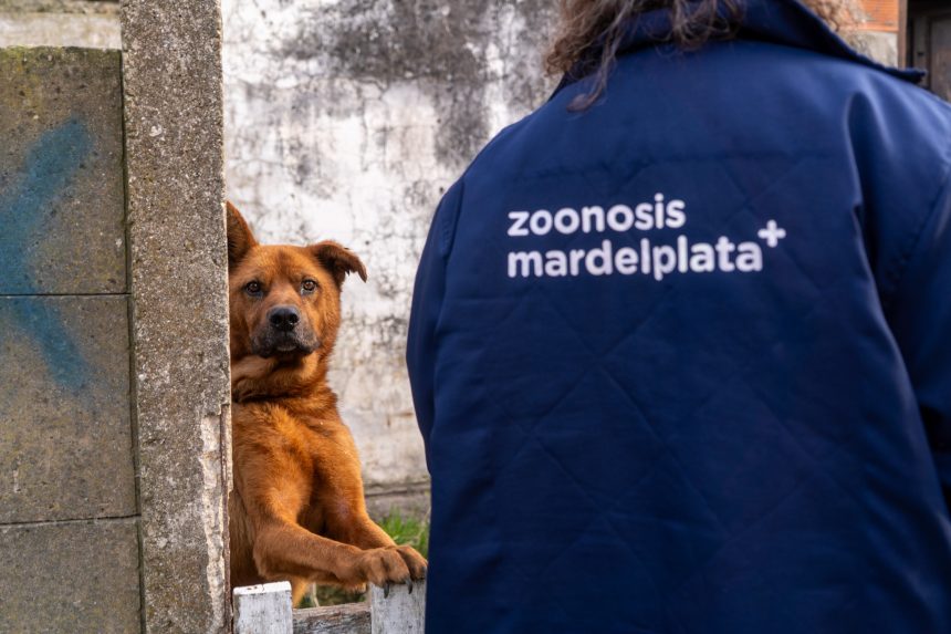 El Municipio retiró dos perros que se encontraban en condiciones inadecuadas de habitabilidad