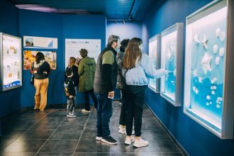 El Museo Scaglia presenta una variada agenda de actividades durante junio