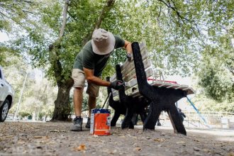 El Municipio refuerza el mantenimiento y la limpieza en Plaza San Martín