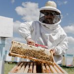 Se realiza el tercer encuentro del Ciclo Apícola “Abejas, Polinización y Kiwi”