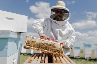 Se realiza el tercer encuentro del Ciclo Apícola “Abejas, Polinización y Kiwi”