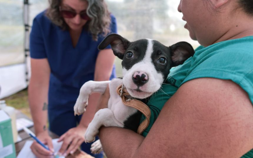 El Municipio informa nuevas ubicaciones de los quirófanos móviles para animales