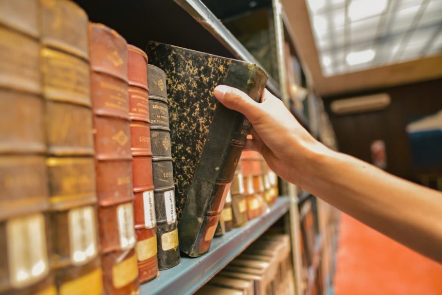 La Biblioteca Marechal presenta la programación de actividades y talleres para julio