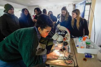 Más de 70 personas participaron de una jornada de capacitación sobre apicultura, polinización y producción de kiwi