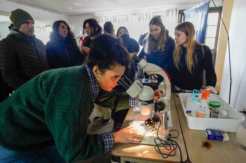 Más de 70 personas participaron de una jornada de capacitación sobre apicultura, polinización y producción de kiwi