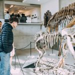 El Museo Scaglia presenta sus actividades de julio