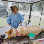 Nuevas ubicaciones de los quirófanos móviles para animales