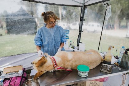 Nuevas ubicaciones de los quirófanos móviles para animales