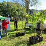 El Programa FORESTAR continúa recorriendo espacios verdes de la ciudad