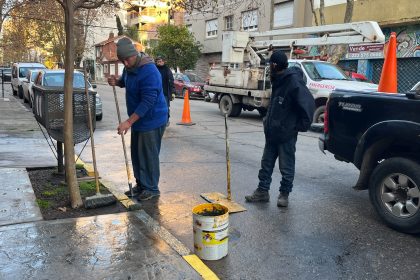 El Municipio retira demarcaciones y reservas de estacionamiento no autorizadas en la vía pública