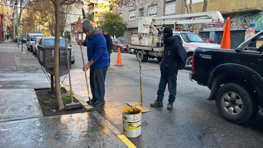 El Municipio retira demarcaciones y reservas de estacionamiento no autorizadas en la vía pública