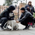 Nuevas ubicaciones de los quirófanos móviles para animales