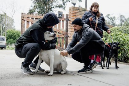 Nuevas ubicaciones de los quirófanos móviles para animales