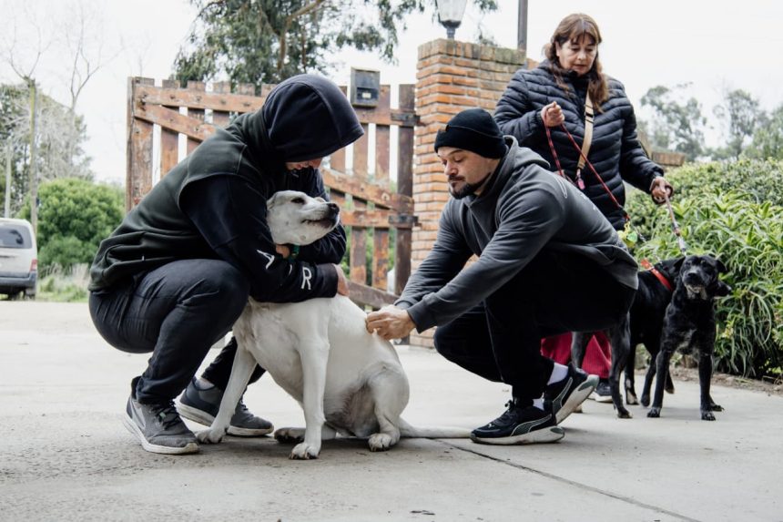 Nuevas ubicaciones de los quirófanos móviles para animales
