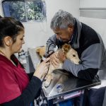 Nuevas ubicaciones de los quirófanos móviles para animales