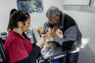 Nuevas ubicaciones de los quirófanos móviles para animales