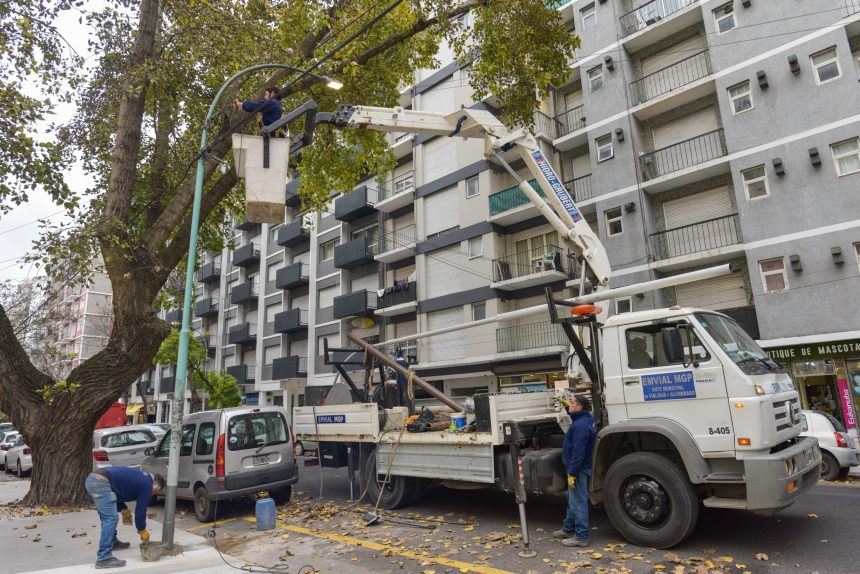 Alumbrado Público: Ya se solucionaron más de 2.000 reclamos en distintos puntos de General Pueyrredon