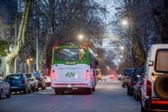 La Municipalidad ya instaló más de 1.300 luminarias LED y suma un nuevo frente de obra en Plaza Peralta Ramos