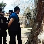 La Patrulla Municipal intervino en la aprehensión de un delincuente del espacio público tras incumplir una restricción de acercamiento