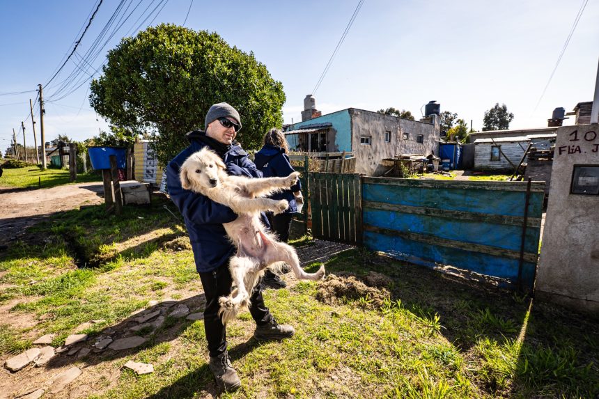 La Municipalidad retiró a tres perros maltratados y en estado de abandono