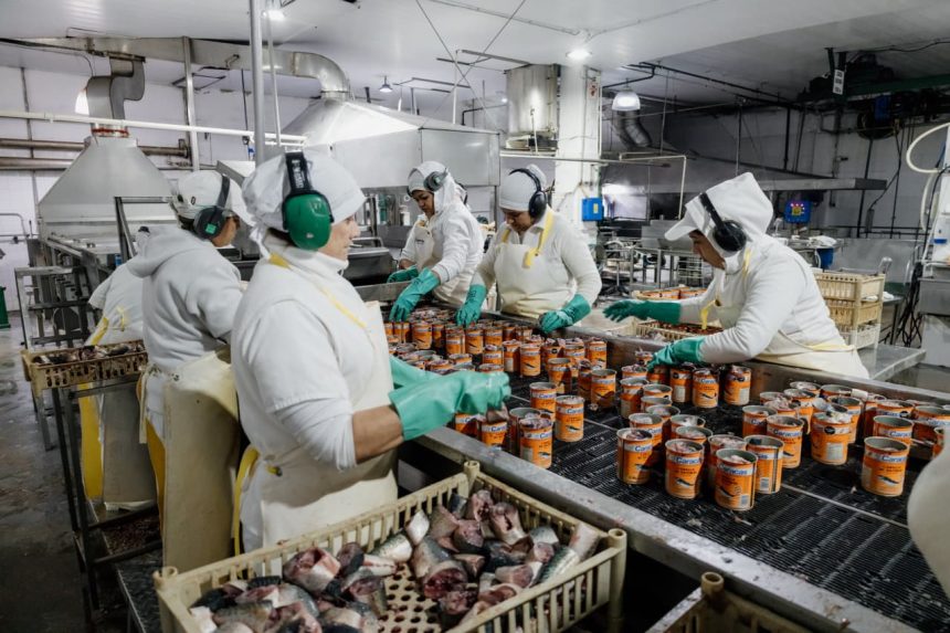Más de 13.300 artículos y 310 empresas forman parte del programa Producto Local