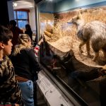 El Municipio presenta la programación de octubre del Museo Municipal de Ciencias Naturales Lorenzo Scaglia