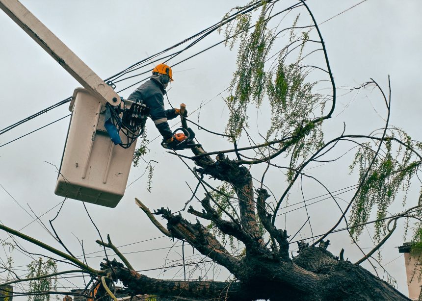 Tras el cese del alerta por tormentas y viento, Defensa Civil continúa moniteoreando y trabajando en reclamos