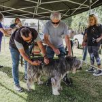 El Municipio retoma la vacunación antirrábica gratuita en la sede de Zoonosis