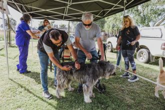 El Municipio retoma la vacunación antirrábica gratuita en la sede de Zoonosis