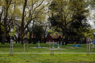 La Municipalidad trabaja en el recambio, reforestación y reposición de especies en el Parque Primavesi