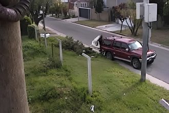 El municipio informa que la camioneta Toyota patente DJB 924 se secuestró por tirar basura en un lugar prohibido